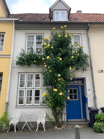Ferienhaus Kulturdenkmal 60 M2 Historisches Balkenhaeuschen Von 1749 Lübeck